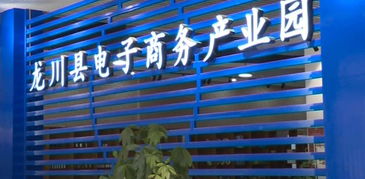 縣工信局主動(dòng)對(duì)接粵港澳大灣區(qū)，以產(chǎn)業(yè)共建與電商平臺(tái)開(kāi)發(fā)助推縣域經(jīng)濟(jì)高質(zhì)量發(fā)展